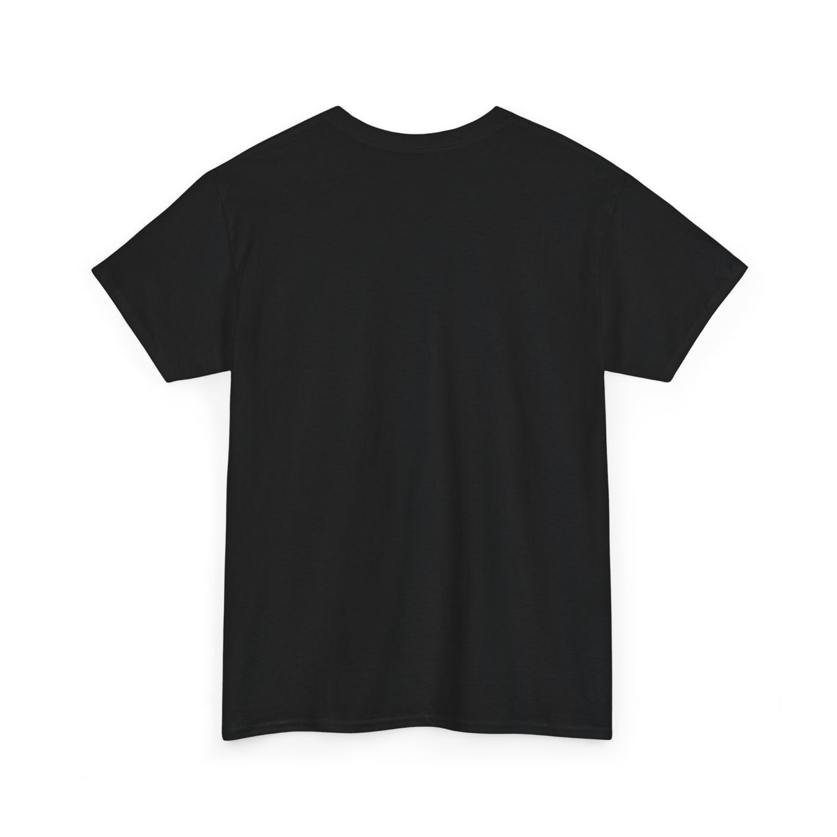 T-Shirt What It Looks Like Before I'm Rich and Famous