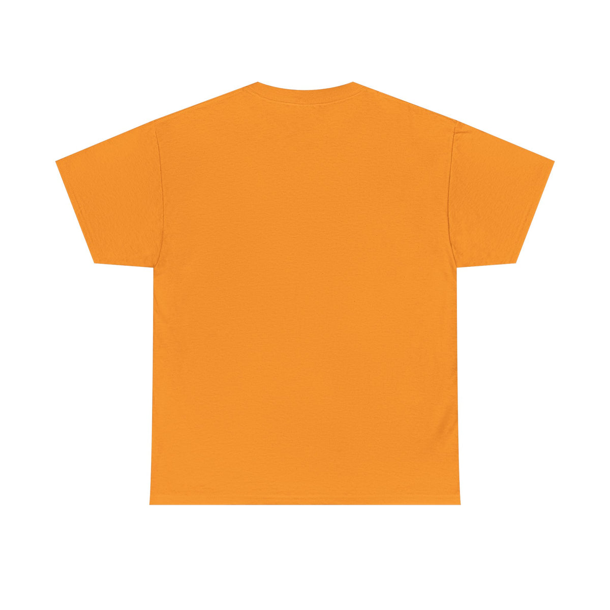 T-Shirt What It Looks Like Before I'm Rich and Famous