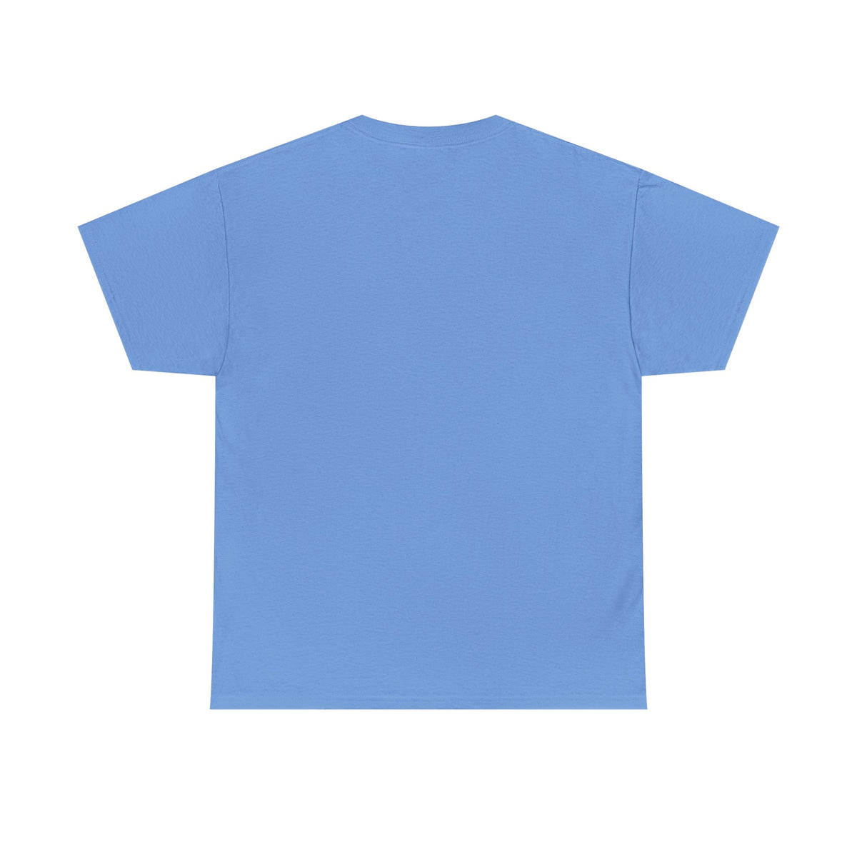 T-Shirt What It Looks Like Before I'm Rich and Famous
